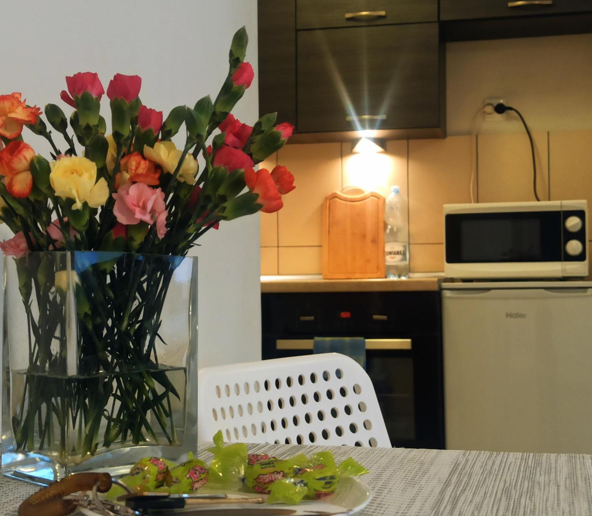 Apartamenty Spodek Katowice Eksteriør billede